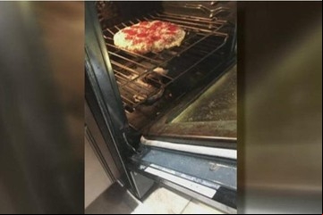 Cocinaban una pizza y sin darse cuenta también asaron una serpiente