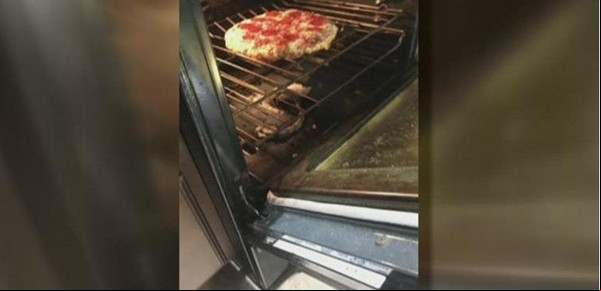 Cocinaban una pizza y sin darse cuenta también asaron una serpiente