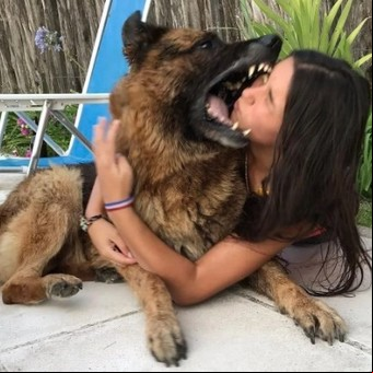 Mordeduras de perro: por qué decidieron incluirlas en el Boletín Epidemiológico Nacional