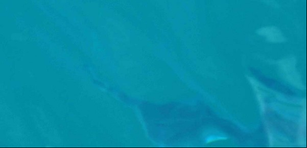 El Nahuelito y una polémica sin fin: ¿son mantarrayas o una onda solitaria?
