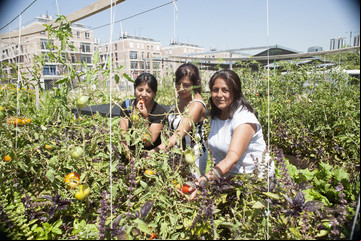 Las mujeres que crearon una huerta en el barrio Rodrigo Bueno y ahora cultivan verduras orgánicas