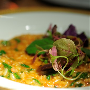 Risotto de achicoria