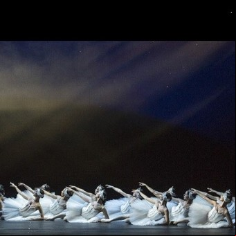 El retorno de los cisnes eternos