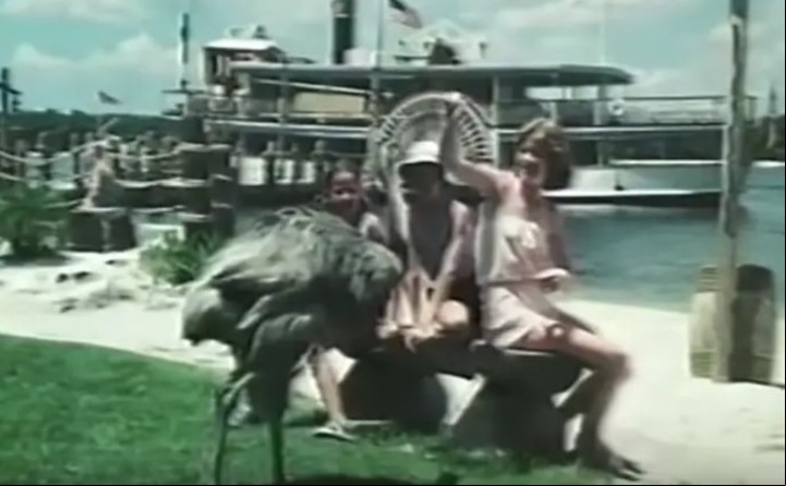 Una familia frente al mar de Discovery Island: Foto captura Bright Sun Films / YouTube