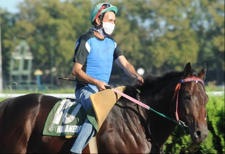 Los caballos requieren de muchos cuidados. Jockeys, veterinario, nutricionista, herraje y hasta dentista, por la embocadura. La pensión de cada uno ronda entre los 22.000 y 48.000 pesos por mes. Foto: Caballeriza Queen Debiss.