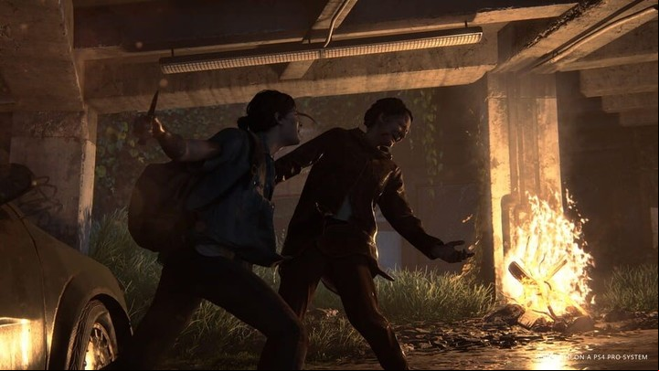 The Last of Us 2.