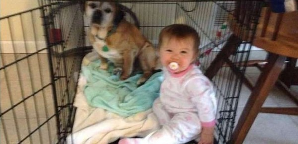 Tiene 4 años, le envió una carta a su perrita fallecida y al día siguiente el correo le entregó la respuesta