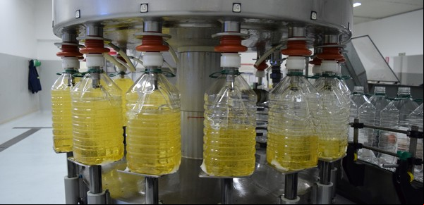 Sorpresa en la agricultura: el cultivo estrella que generará exportaciones por más de US$ 1.500 millones