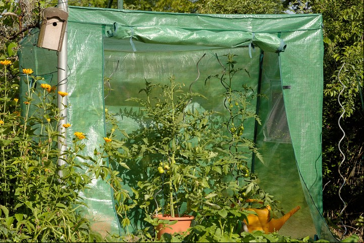 Al desarrollar un invernadero en casa tendremos efectos positivos sobre el medioambiente.
Foto: Shutterstock.