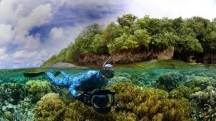 Buceo en Palaos, un paraíso natural.