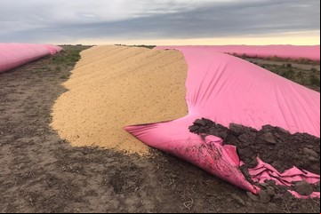 Silobolsas: "673.000 chicos podrían haber comido con lo que se perdió"