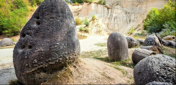 El misterio de las piedras vivas: crecen, se reproducen y respiran