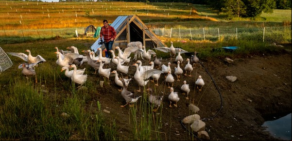 De modesto chacarero a "agricultor influencer"