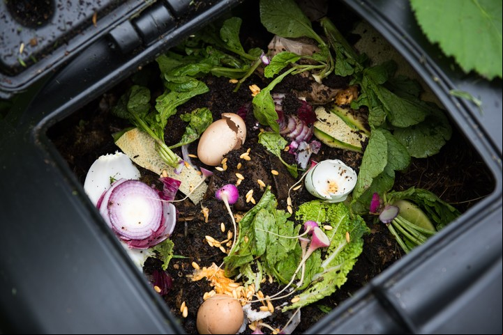 Comida en la basura, un problema que continúa mientras en el mundo crecen las hambrunas. Foto: Shutterstock.