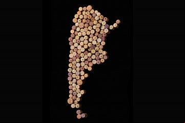 El vino argentino que viene: nuevas propuestas para salir de la zona de confort