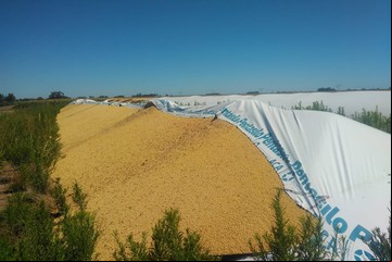 En una semana rompieron diez silobolsas cerca de San Antonio de Areco
