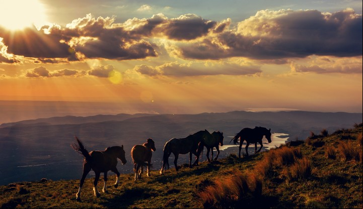 Los colores de la naturaleza en todo su esplendor en Capilla del Monte. Foto: Turismo de Córdoba
