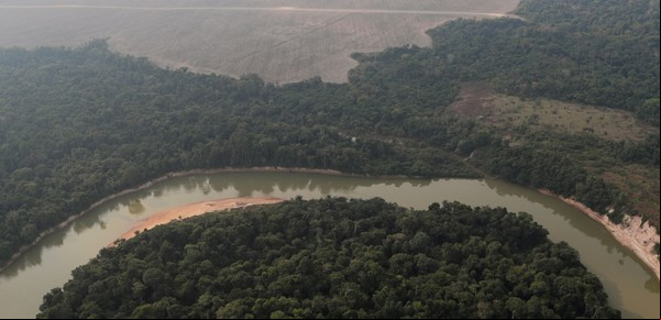 La odisea de Antonio Sena, el piloto que se estrelló en la selva amazónica brasileña y un dato clave le salvó la vida
