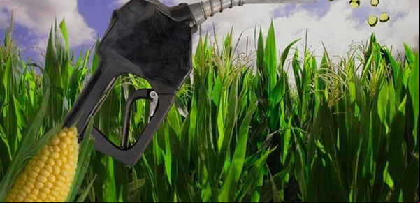 La producción argentina de bioetanol alcanzó un récord y el país se posiciona octavo a nivel mundial