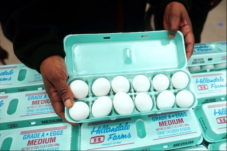 Cada día llegan al laboratorio, medio millón de huevos de gallina. Foto: Reuters