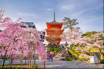 Estudiar en Japón: otorgan becas de $10 millones para capacitarse en el país asiático, cómo anotarse