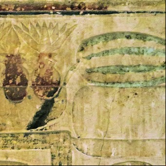 El origen de la sandía