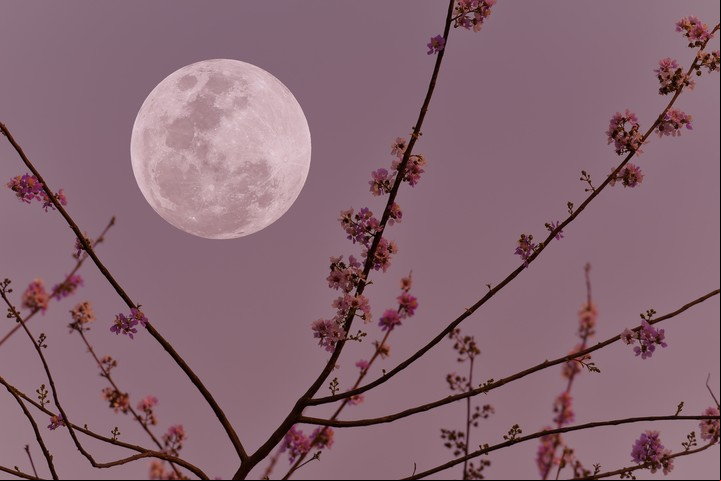 En esta época, revisamos las críticas en relación a los otros (Venus en Virgo). Foto: Shutterstock