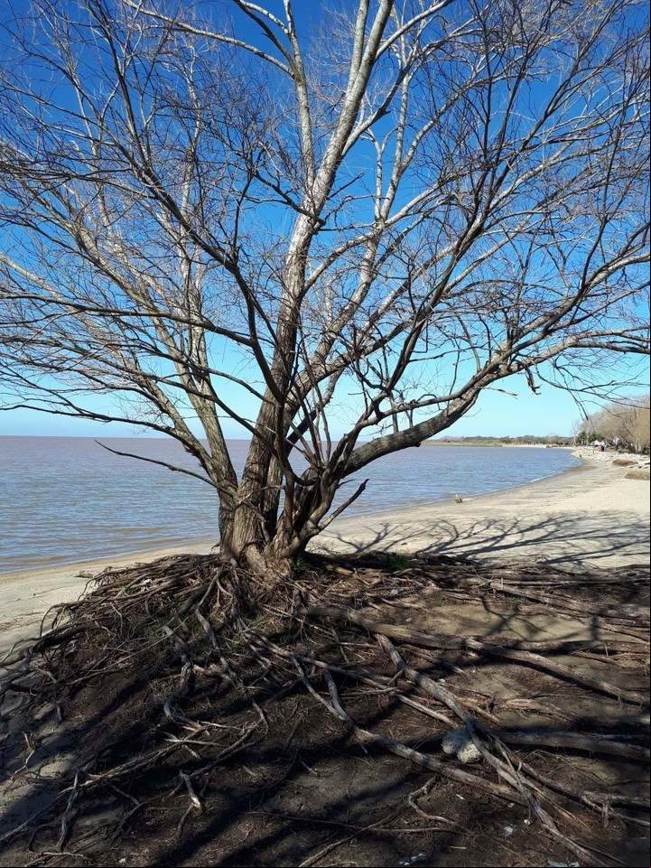 Punta Indio, un parque con playa abierta al Río de la Plata. Foto archivo