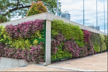 Jardines verticales: qué son y cómo se arman