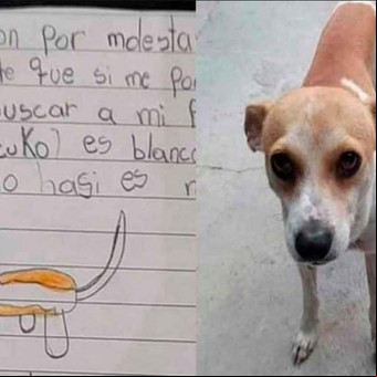 Una nena ofreció 50 pesos de recompensa para encontrar a su perrito perdido