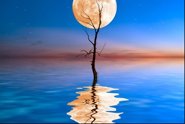 Luna llena en Acuario de agosto 2021: ¡y se va la segunda!