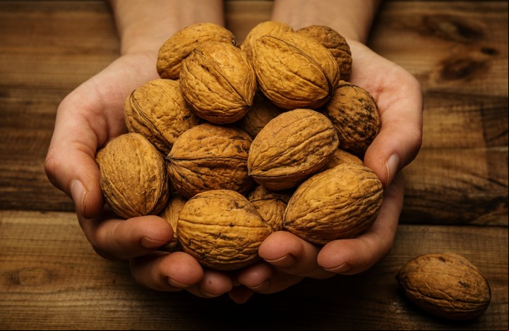 Las nueces son ricas en zinc. Foto Shutterstock.