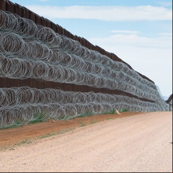 Fotografiaron la tristeza del Correcaminos que llegó a la frontera y se encontró con el muro