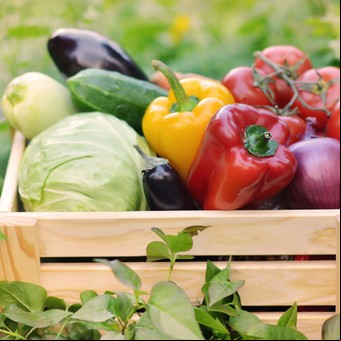 Huerta de primavera: consejos esenciales para principiantes