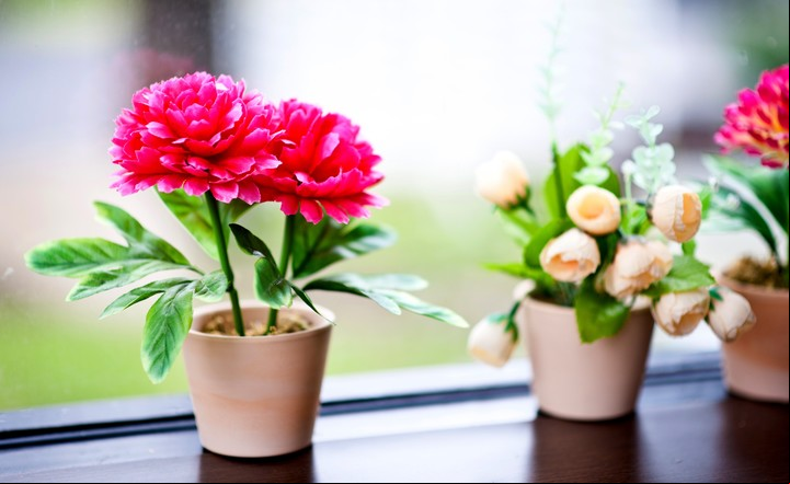 Las plantas nutrirán el sector este del living que activa el Qi de la familia y la salud. Foto ilustración Shutterstock.