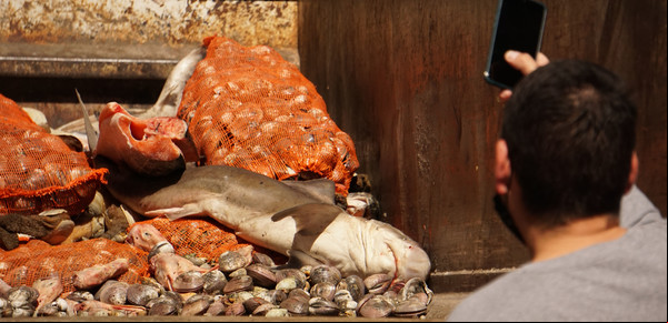 Allanaron supermercados en el Barrio Chino por venta de pescado en mal estado: se llevaron hasta un tiburón