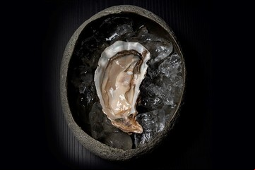 Crizia: el glamour y el erotismo de las ostras patagónicas