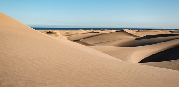 El sexo descontrolado en las dunas arruina una importante playa