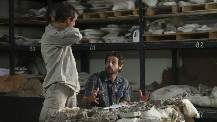 Paleontólogo Diego Pol, investigador principal del Conicet en el Laboratorio de Estudios Científicos del Museo Paleontológico Egidio Feruglio (MEF), en Trelew, Chubut.