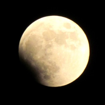 Luna llena en Tauro de noviembre 2021 con eclipse lunar: influencias energéticas