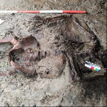 El terrible final del último fugitivo de Herculano hace 2000 años