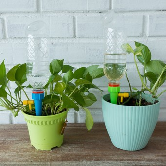 Vacaciones: cómo regar las plantas a distancia