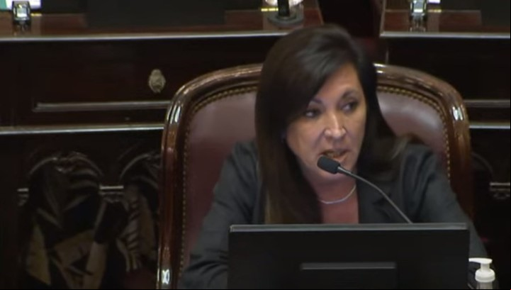 Laura Rodríguez Machado, diputada del PRO y presidenta de la comisión de Legislación Penal.