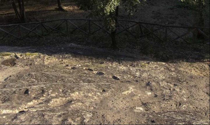 Las huellas tienen más de 300.000 años.