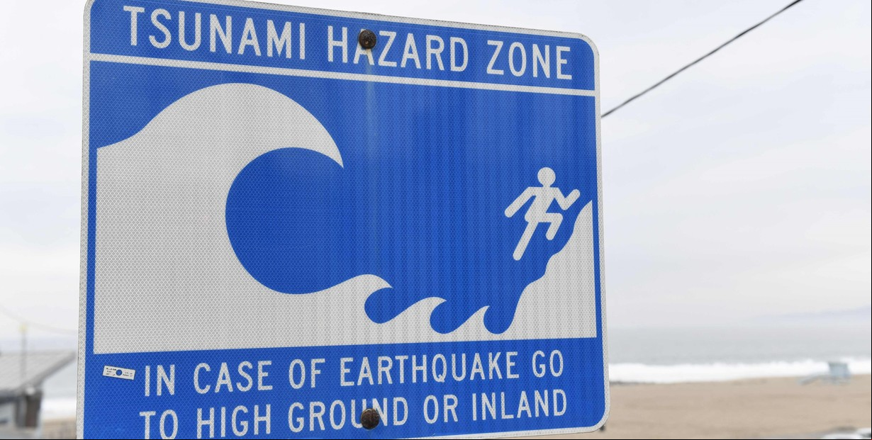 Científicos alertan sobre un "mega tsunami" con olas arrasadoras para tres regiones de Estados Unidos