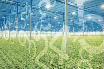 Cómo se preparan las grandes empresas para la revolución digital