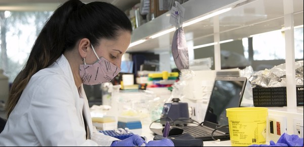 El Gobierno asegura que "antes de fin de año Argentina va a tener su propia vacuna" contra el coronavirus