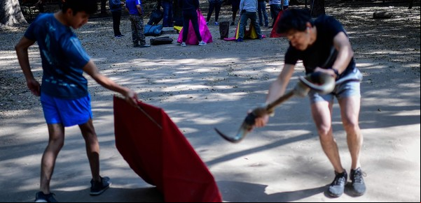 Corridas de toros: la Ciudad de México, cerca de abolir una tradición de 500 años