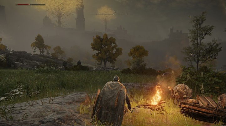 Elden Ring. Foto: Captura en PC (Nvidia RTX 3060)