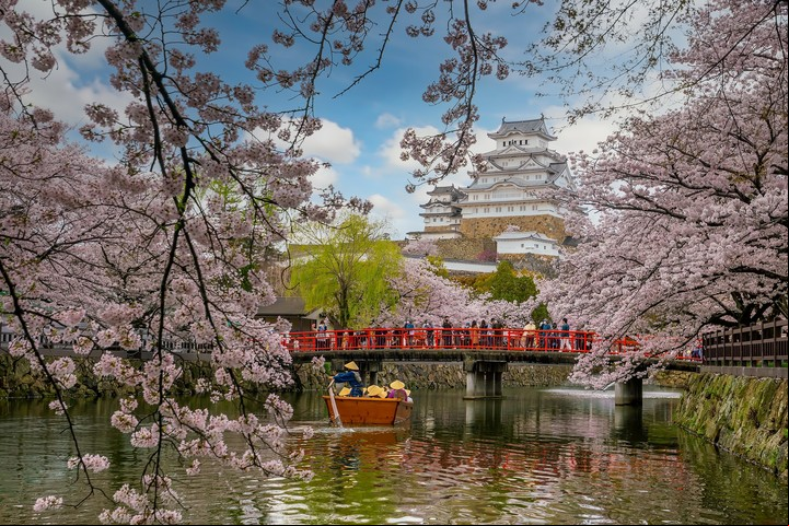 Castillo Heimeji, en Japón, con los cerezos florecidos. Foto Shutterstock.